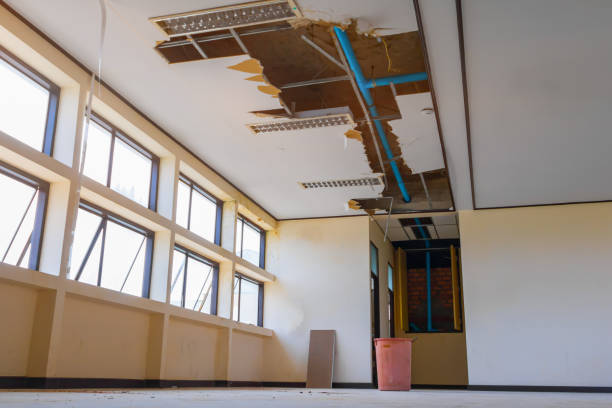 Best Water damage restoration near me  in Mclean, TX