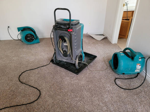 Best Flood restoration services  in Mclean, TX
