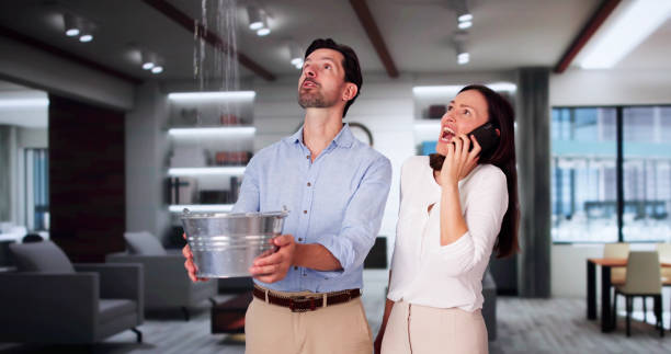 Best Basement water damage restoration  in Mclean, TX